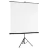 Hama 00021574 projection screen 2.19 m (86.2 inch) 1:1