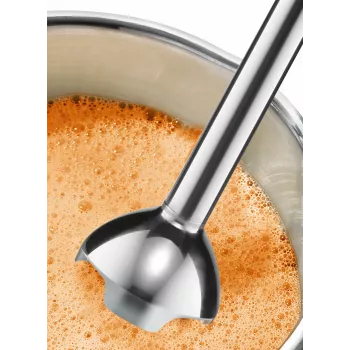 Bosch MSM24100 blender Immersion blender 400 W Stainless steel, White