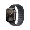 APPLE 42mm Black Magnetic Link - S/m