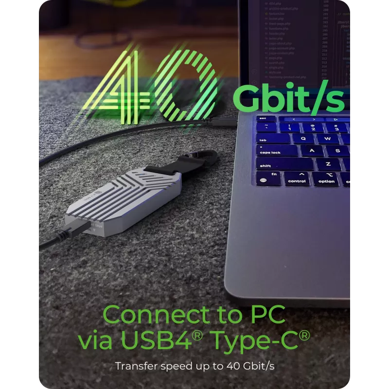 ICY BOX IB-1919M-C42 SSD enclosure Silver M.2