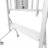 Neomounts MOVE Go XL FL50-575WH1 TV Trolley, 65-110 inch, max 125 kg, VESA 100x100-1100x600, Height Adjustable 129-139 cm, Lockable, Fast Install, TÜV Certified, White