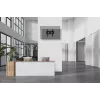 Neomounts WL35-750BL14 Heavy duty wall mount 42-75 inch - tilt - lockable - fast installation - TÜV