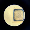 Educational Microscope Liscianigiochi Im A Genius 304-PL97388 — children's optical set with magnification for learning