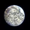 Educational Microscope Liscianigiochi Im A Genius 304-PL97388 — children's optical set with magnification for learning