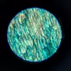 Educational Microscope Liscianigiochi Im A Genius 304-PL97388 — children's optical set with magnification for learning