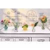 Miniverse - Make It Mini Botanicals, 8 yr(s), Multicolour, Plastic