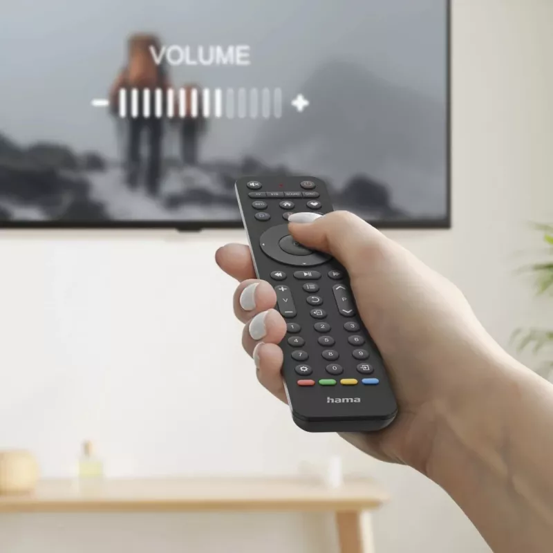 Hama 00221053 remote control IR Wireless TV Press buttons