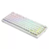 Gaming Keyboard Savio Phenix WHITE GAT YELLOW USB Bluetooth QWERTY