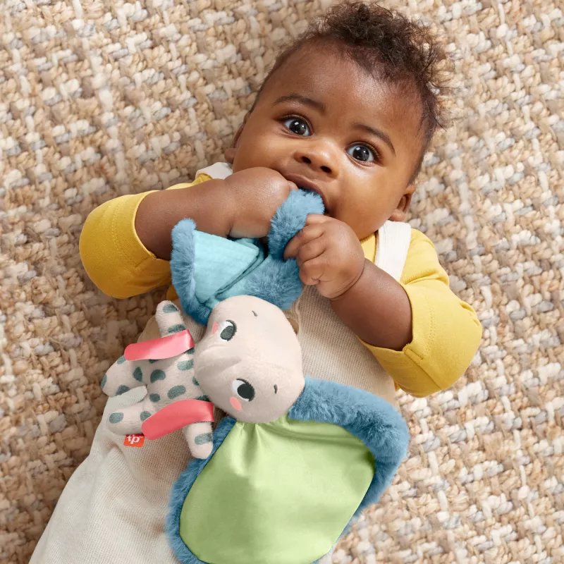 Soft toy MATTEL Fisher-Price Planet Friends Giant Ear Elephant HKD63, plush elephant companion