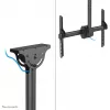 Neomounts CL35-440BL16L Monitor/TV mount ceiling 37-70 inch - h 106-156 cm