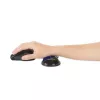 Kensington Slim Duo Gel Mouse/Trackball Wrist Rest - Blue, Blue, Gel, Thermoplastic polyurethane (TPU), China, MIL-STD-810H Method 504.3 Contamination by Fluids, 192 mm, 72 mm