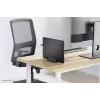 Neomounts NSLS300BLACK Laptop holder 11-17 inch - universal, Laptop stand, Black, Aluminium, 27.9 cm (11 inch), 43.2 cm (17 inch), 5 kg