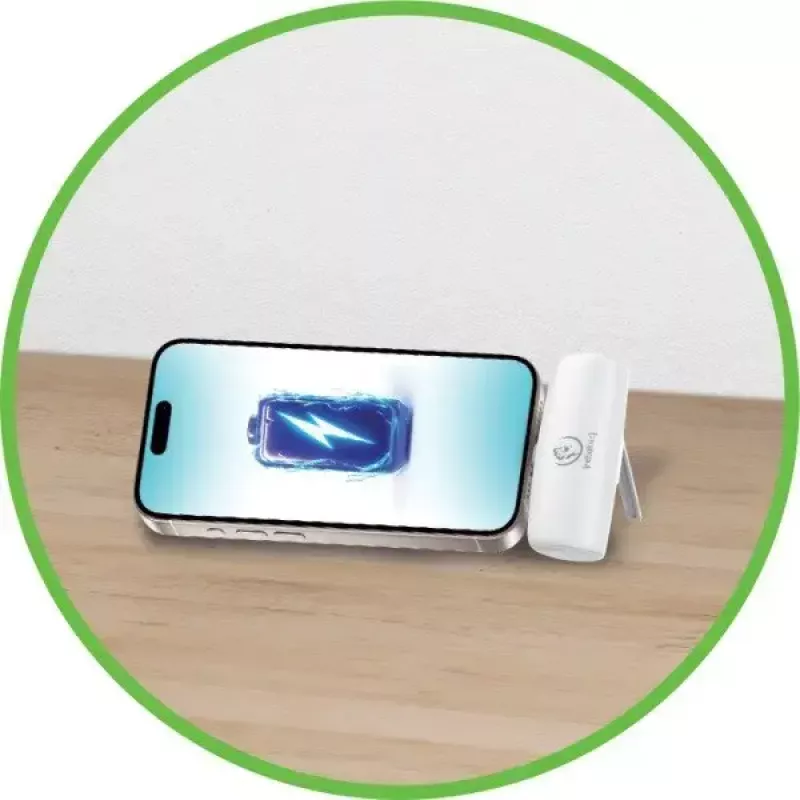 Portable Battery Powerbank P5 PLUG-IN 5000mAh