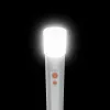 Hand flashlight Hama FL250 LED 3W Aluminium Silver