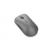 Lenovo Pro Plus 6050 mouse Office Ambidextrous RF Wireless + Bluetooth Optical 2400 DPI