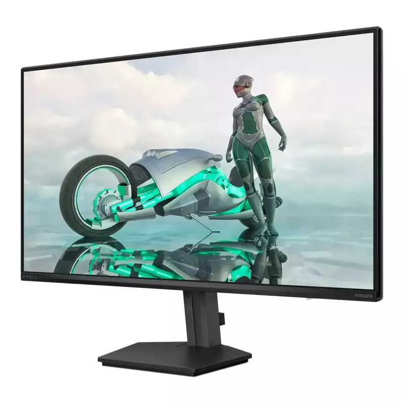 Philips Evnia 3000 24M2N3200NF/00 computer monitor 60.5 cm (23.8 inch) 1920 x 1080 pixels Full HD LCD Black