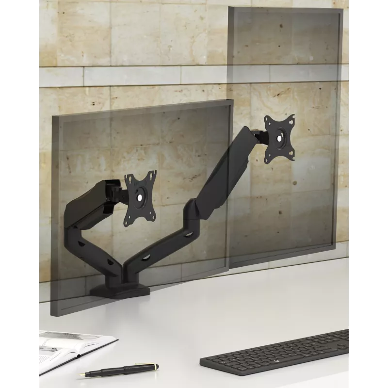 ICY BOX IB-MS204-T 81.3 cm (32 inch) Desk Grey, Silver