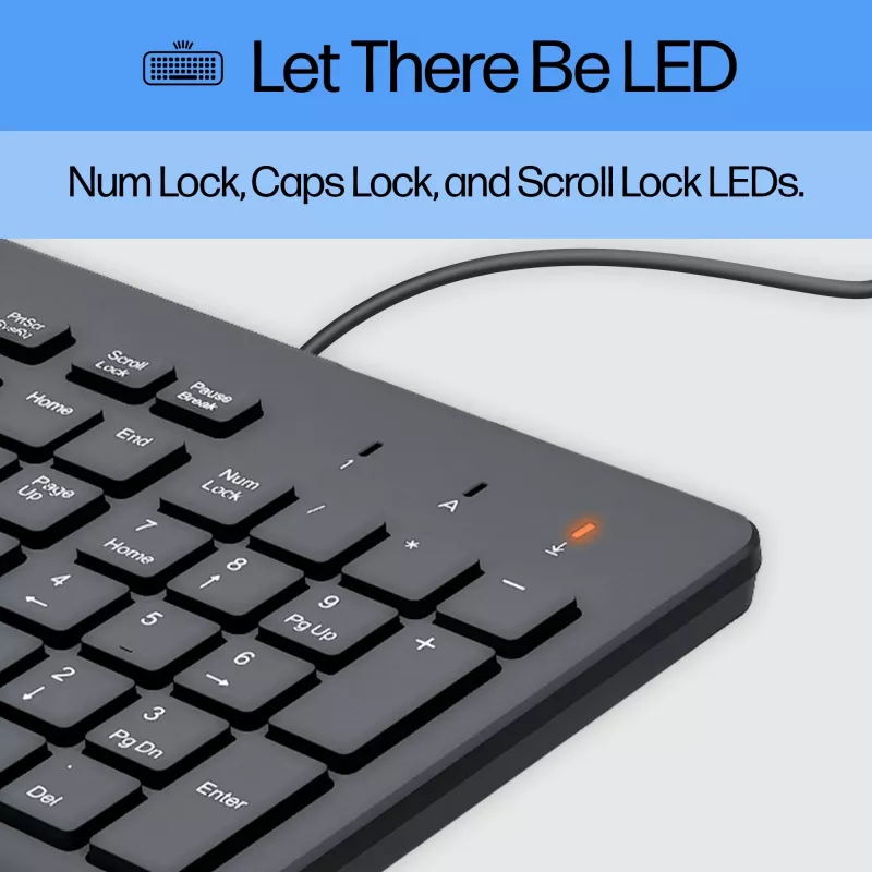 HP 150 Wired Keyboard, Full-size (100%), Wired, USB, Mechanical, QWERTY, Black