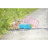 Doll pet ZAPF BABY born My Dog Lucky with Box — textile/plastic, multicolour, for ages 3–12, requires 4×AAA