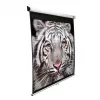 Projection Screen Elite Screens M99NWS1