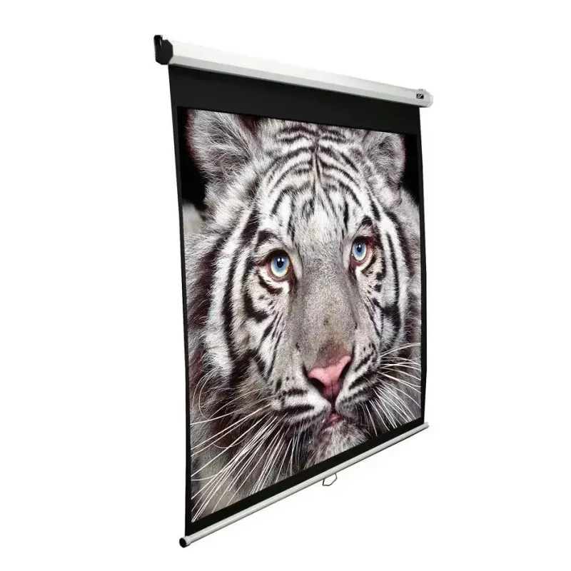 Projection Screen Elite Screens M99NWS1