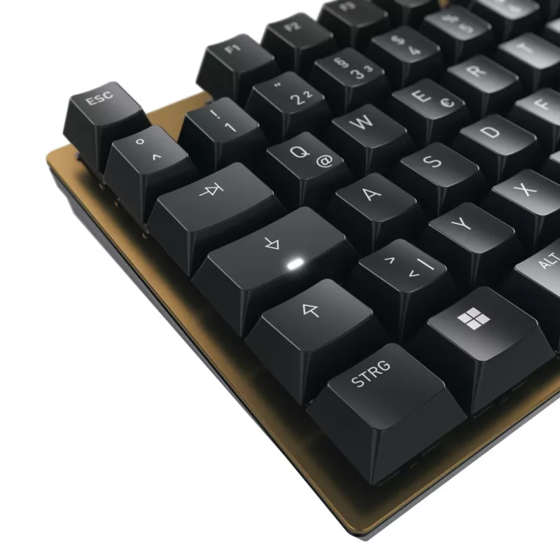 CHERRY KC 200 MX keyboard Universal USB QWERTZ German Black, Bronze