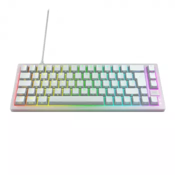 CHERRY K5V2 Compact keyboard Gaming USB QWERTZ German White 68 keys RGB LED