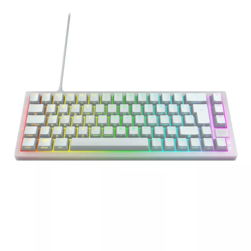 CHERRY K5V2 Compact keyboard Gaming USB QWERTZ German White 68 keys RGB LED