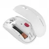 Mouse CHERRY MW 2200 RF Wireless