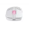 Mouse Xtrfy M4 RGB RF Wireless Optical 19000 DPI