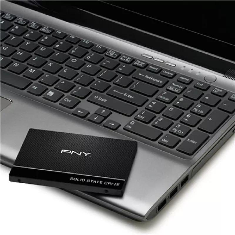 SSD disk PNY 250 GB 2.5 inch Serial ATA III SSD7CS900-250-RB