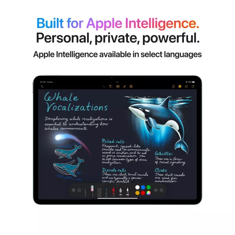 APPLE iPad Air (2025) - M3 - 13in - 7th Gen - Wi-Fi + Cellular - 256GB - Space Gray