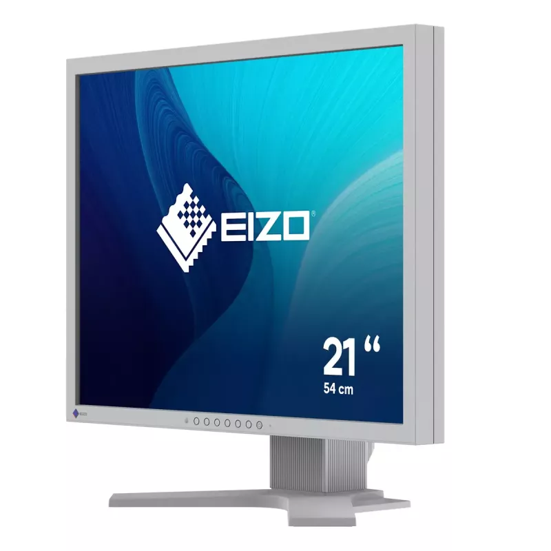 Monitor EIZO FlexScan S2134 21.3 inch LED 1600x1200