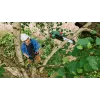 Bosch 06008B3101 cordless chainsaw