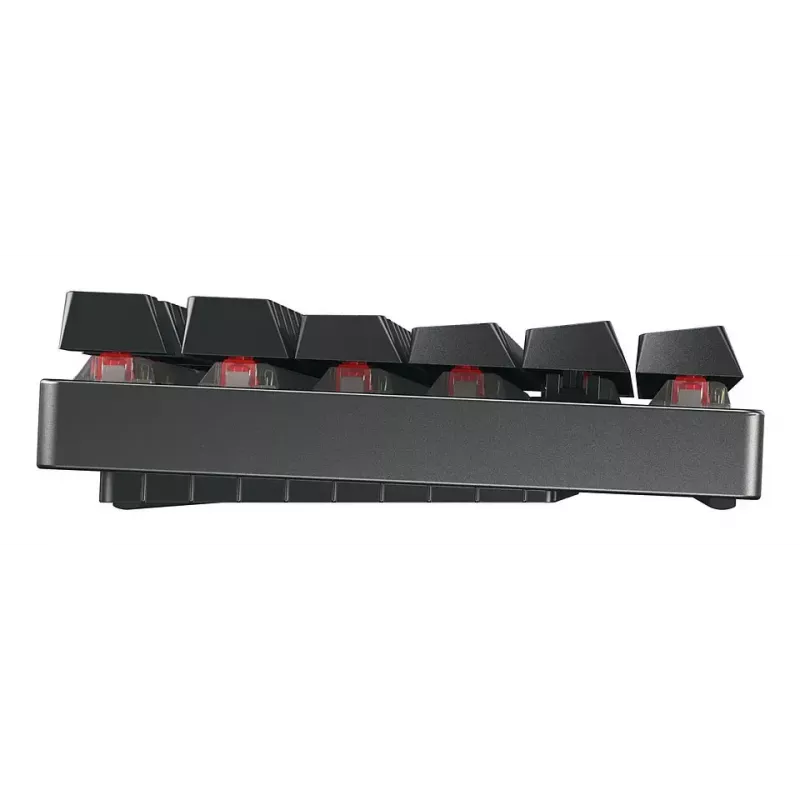 CHERRY MX 8.2 TKL Wireless RGB keyboard Gaming USB + RF Wireless + Bluetooth QWERTZ German Black