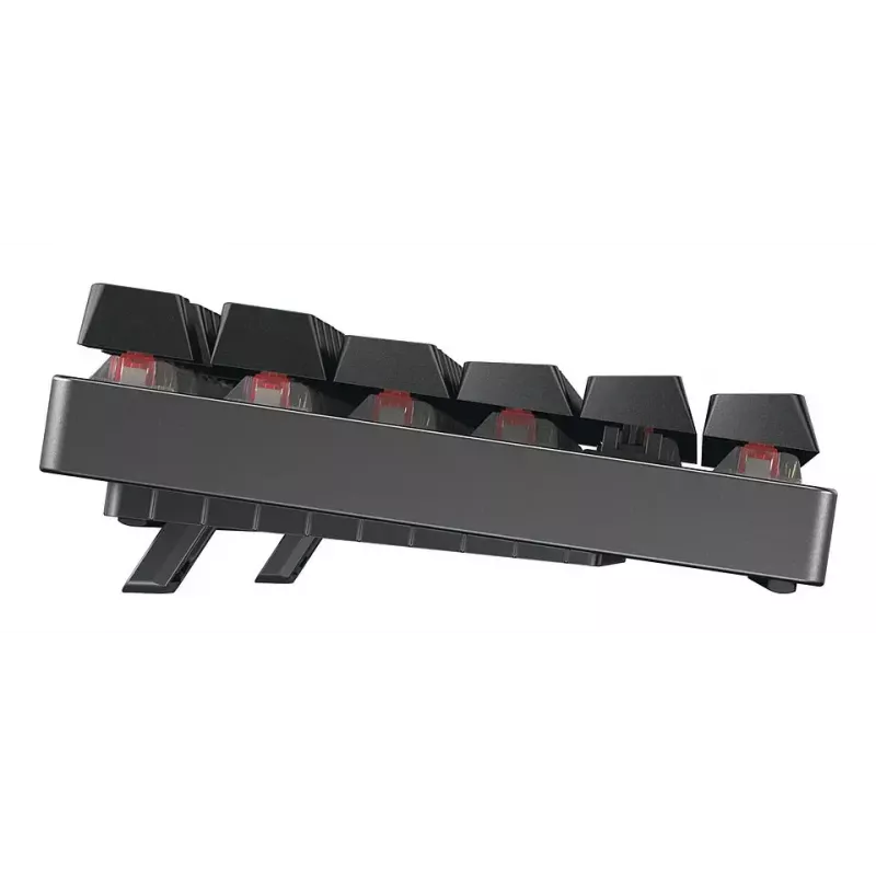 CHERRY MX 8.2 TKL Wireless RGB keyboard Gaming USB + RF Wireless + Bluetooth QWERTZ German Black
