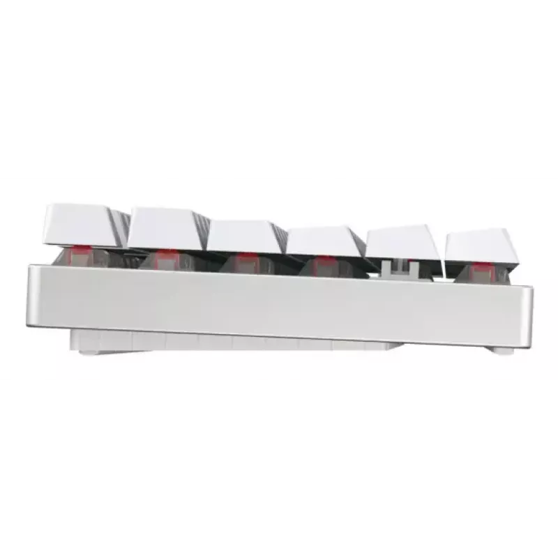 CHERRY MX 8.2 TKL Wireless RGB keyboard Gaming USB + RF Wireless + Bluetooth QWERTZ German White