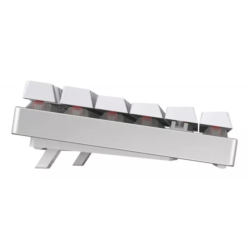 CHERRY MX 8.2 TKL Wireless RGB keyboard Gaming USB + RF Wireless + Bluetooth QWERTZ German White