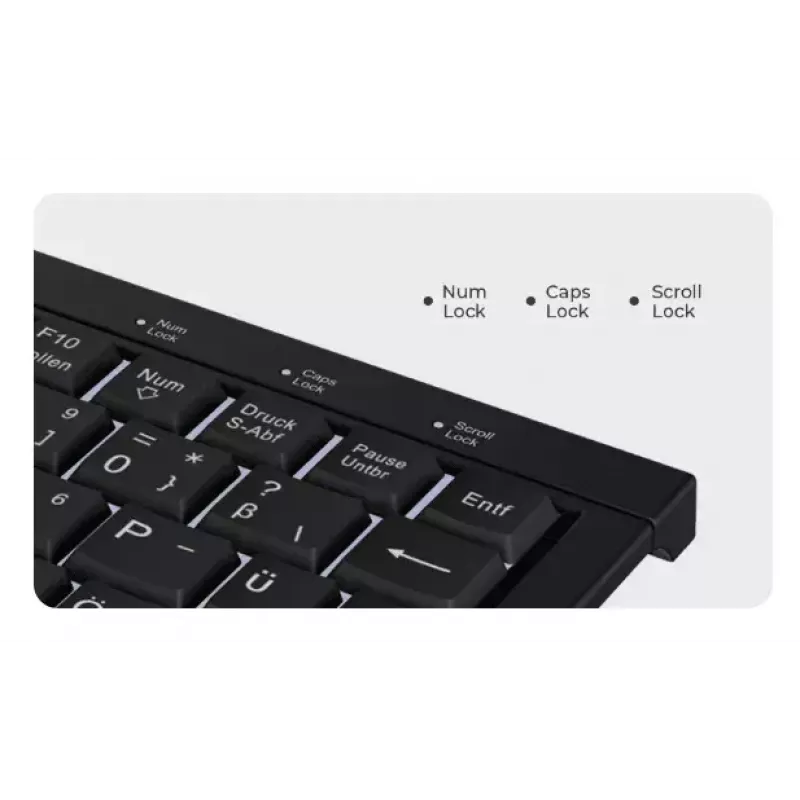 KeySonic KSK-3011ELC (DE) keyboard Home USB QWERTZ German Black