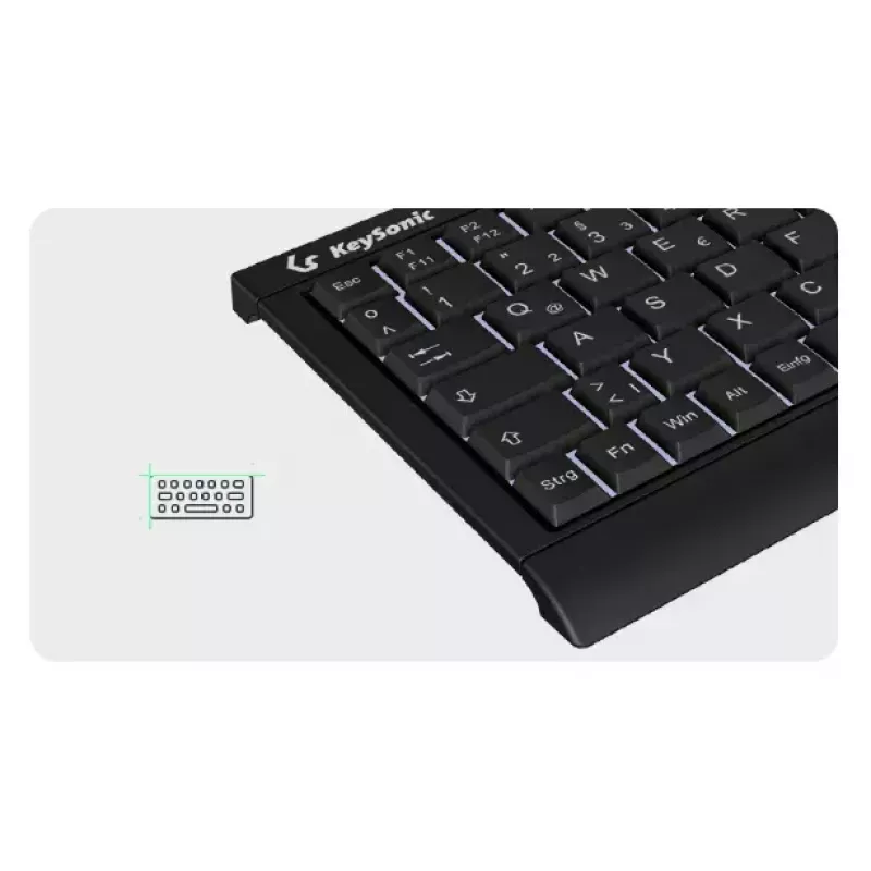 KeySonic KSK-3011ELC (DE) keyboard Home USB QWERTZ German Black