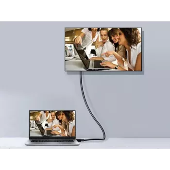 DisplayPort Cable Equip 119253 3m
