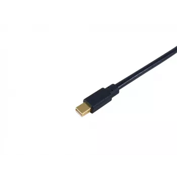 Equip Mini DisplayPort to Displayport Cable, M/M, 2.0m