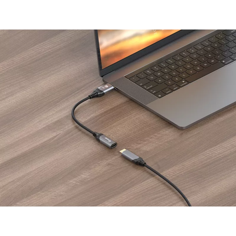 Equip DisplayPort 1.4 to HDMI Adapter 8K 60Hz 0.15m