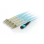 Equip MTP/MTP Trunk Fiber Optic Patch Cable, OM4, 3m