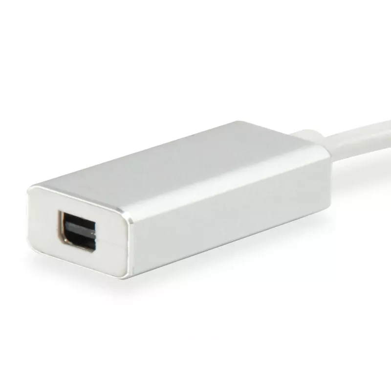 USB Type C to Mini DisplayPort Adapter Equip 133457