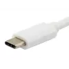 Equip Platinum USB Type C Cable, 2m, 2 m, USB C, USB C, USB 3.2 Gen 2 (3.1 Gen 2), 10 Gbit/s, White