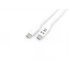 Equip USB 3.2 Gen 1 Type-C to C Cable , M/M , 2 m