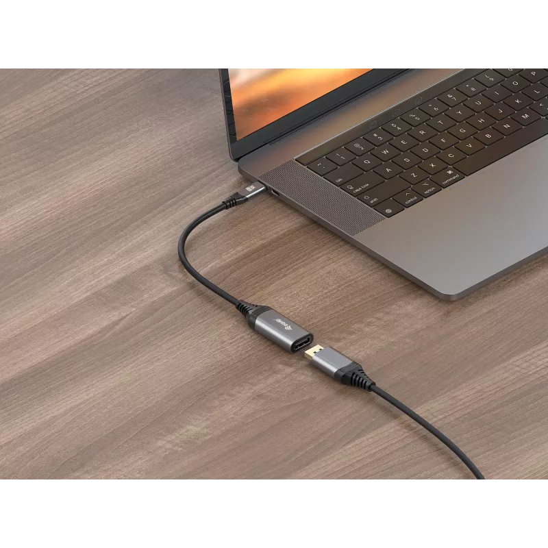 Equip USB-C to DisplayPort 1.4 Adapter 8K 30Hz 0.15m