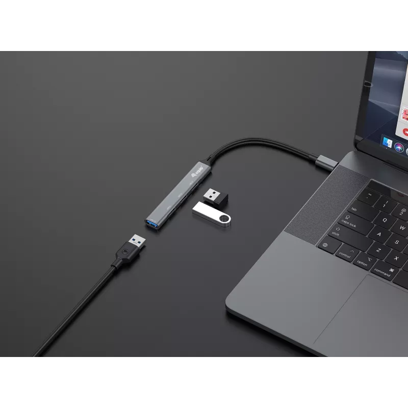 USB Hub Equip 4-Port USB 3.0/2.0 Hub USB-C
