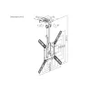 Equip 23 inch-55 inch Ceiling Mount TV Bracket, 75 x 75 mm, 400 x 400 mm, 0 - 80°, -45 - 45°, Stainless steel, Black
